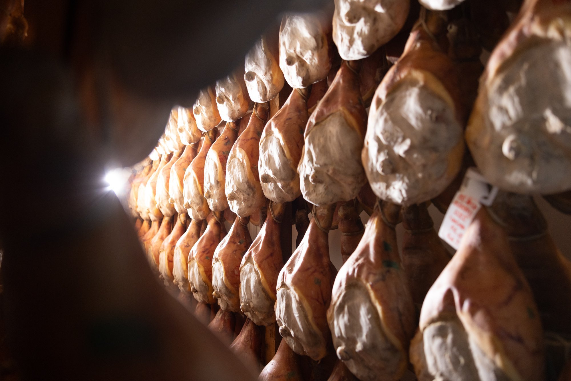 Antiche Cantine Devodier